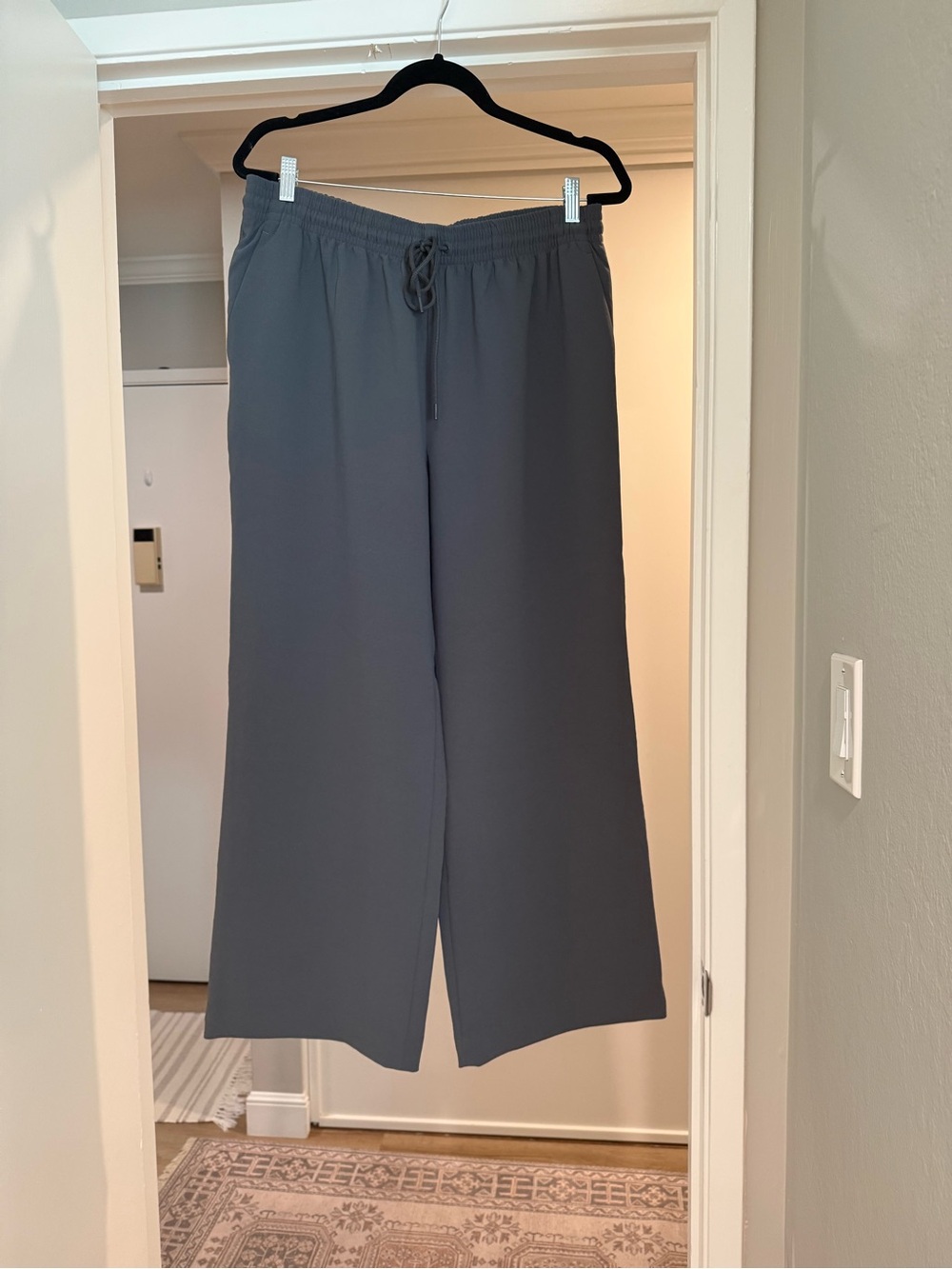 Aritzia Lodge pant